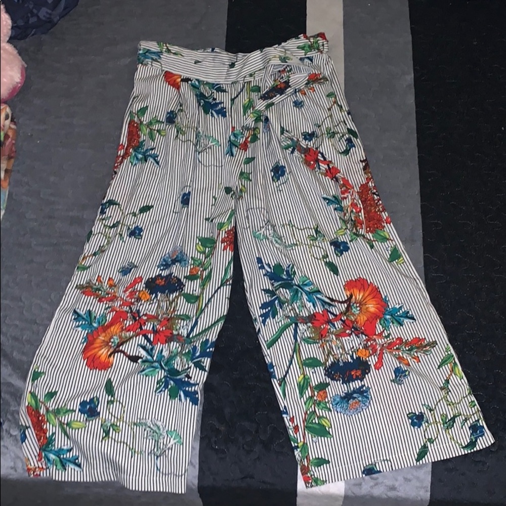 Dressing pants